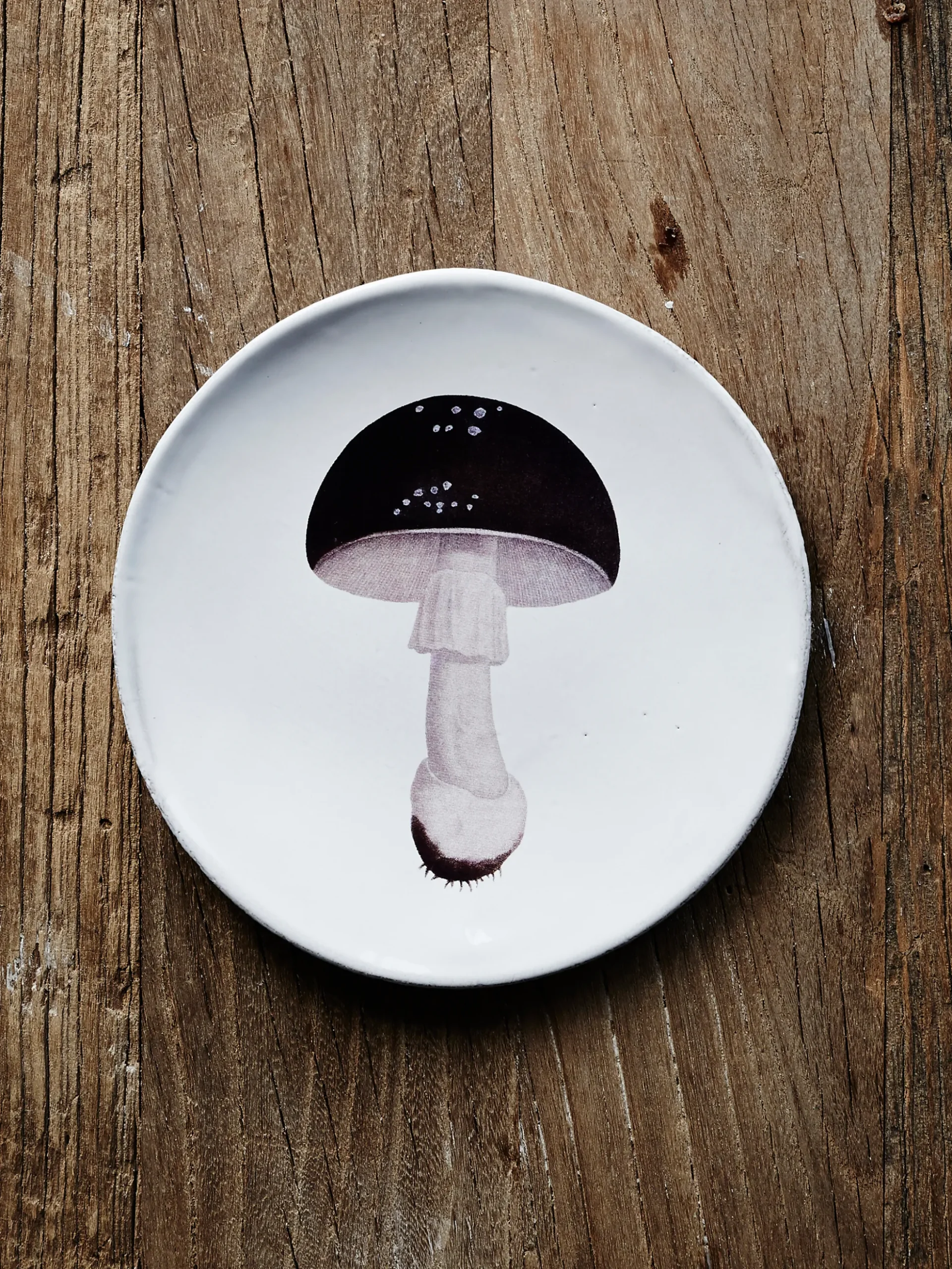 Agaric Fuligineux Dinner Plate