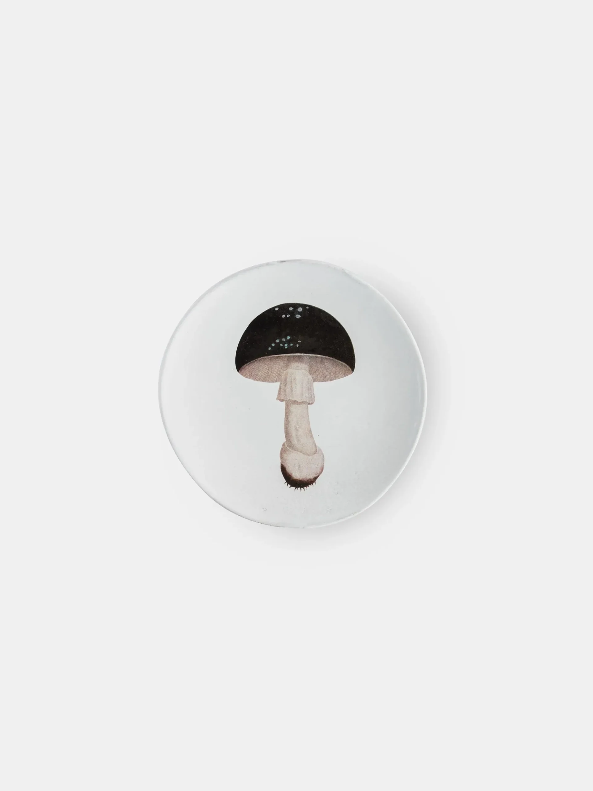 Agaric Fuligineux Dinner Plate