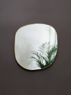 Ame Mirror