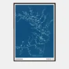 Anna Atkins - Cystoseira Fibrosa