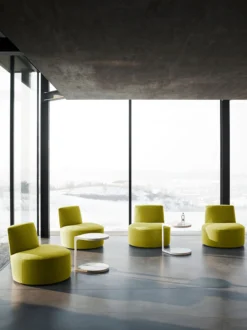 Baobab Armchair