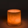 Belle Candle Holder - Lynx - Large