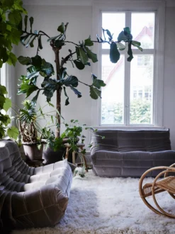 Berger Rug - Nature