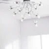 Birdie's Nest