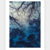 Blue Forest