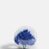 Botanical Paperweight - Cornflower