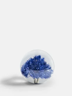 Botanical Paperweight - Cornflower