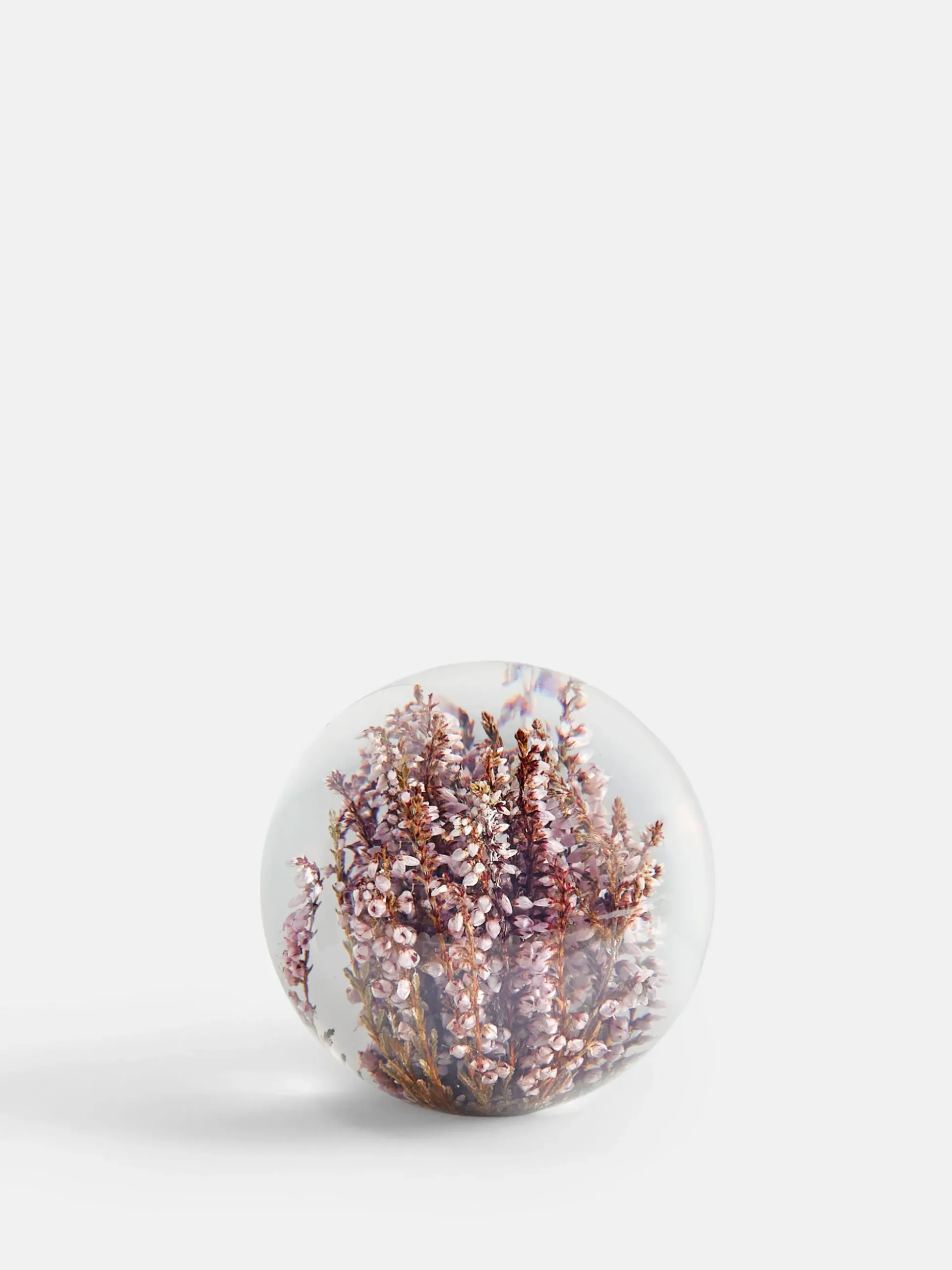 Botanical Paperweight - Heather