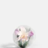 Botanical Paperweight - Orchid