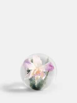 Botanical Paperweight - Orchid