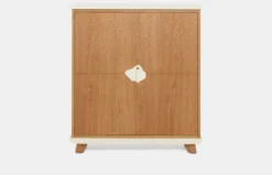 Cabinet 160