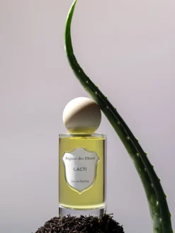 Cacti - EdP 75 ml