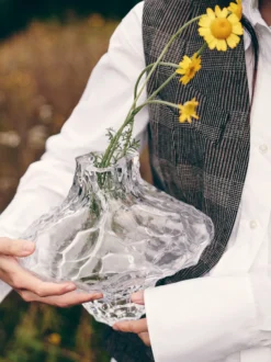 Canyon Vase Clear - Large