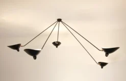 Ceiling Lamp with Five Fixed Arms