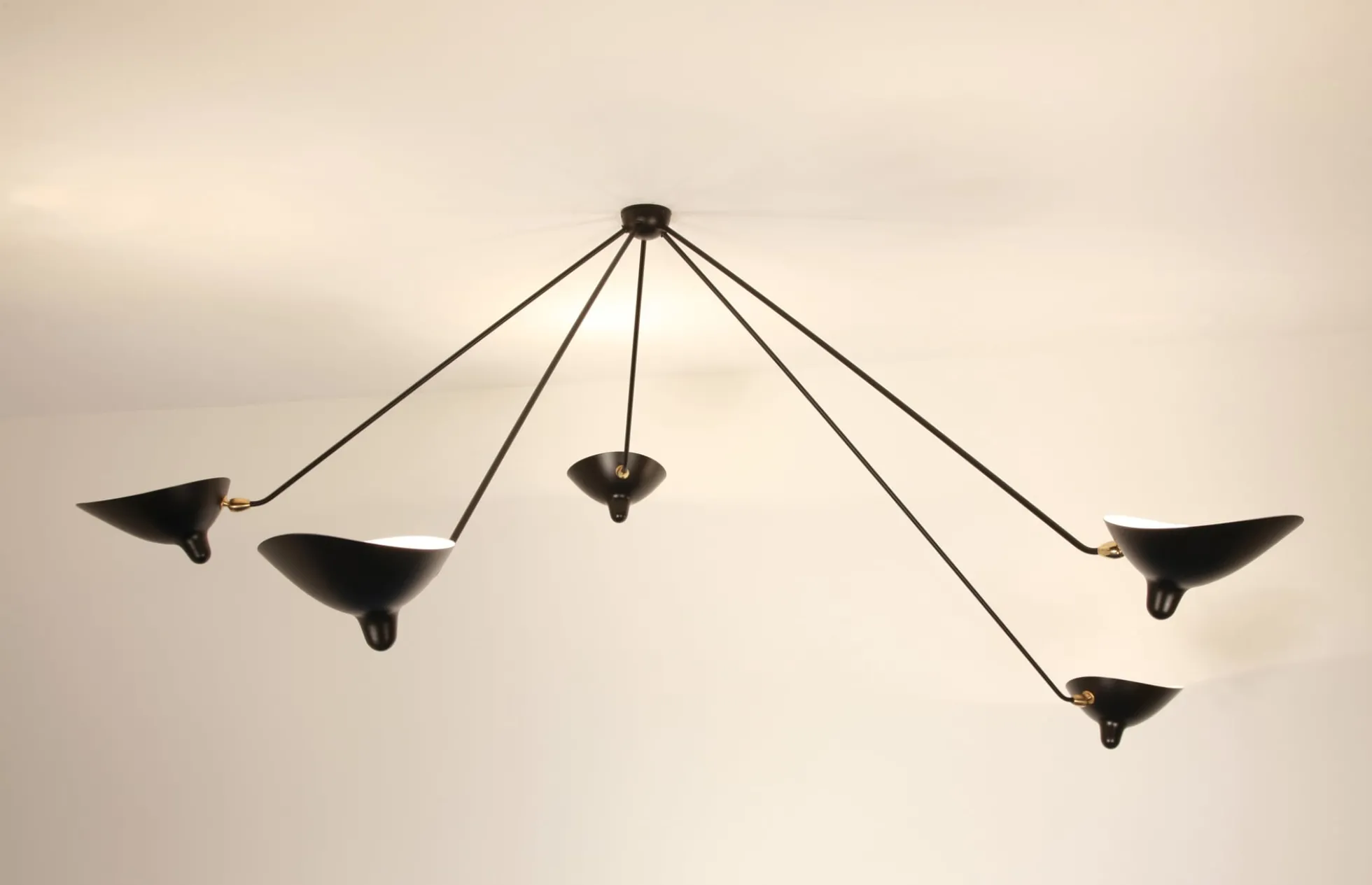 Ceiling Lamp with Five Fixed Arms