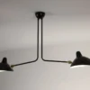Ceiling Lamp with Two Fixed Arms