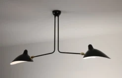 Ceiling Lamp with Two Fixed Arms