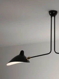 Ceiling Lamp with Two Fixed Arms