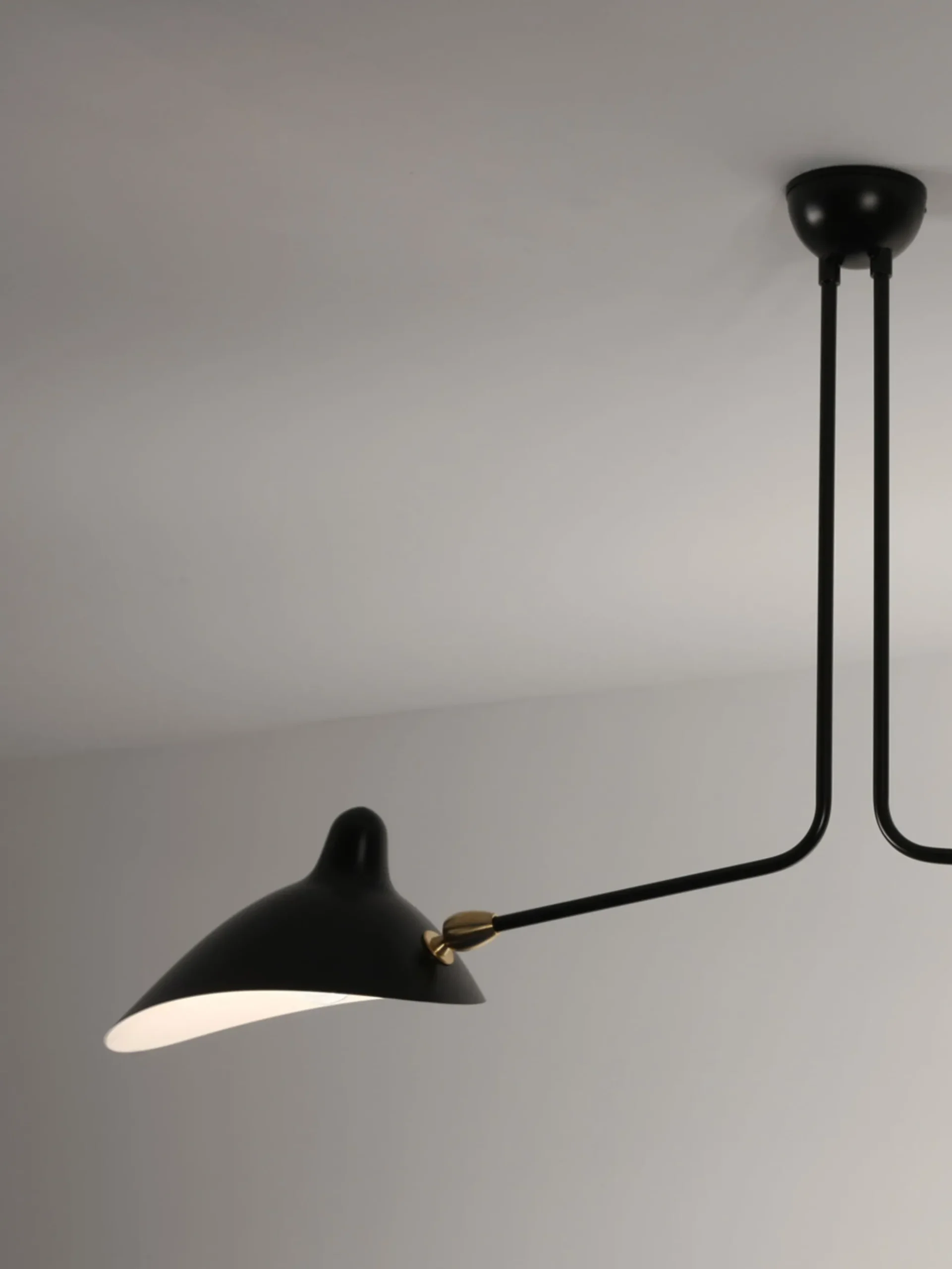 Ceiling Lamp with Two Fixed Arms