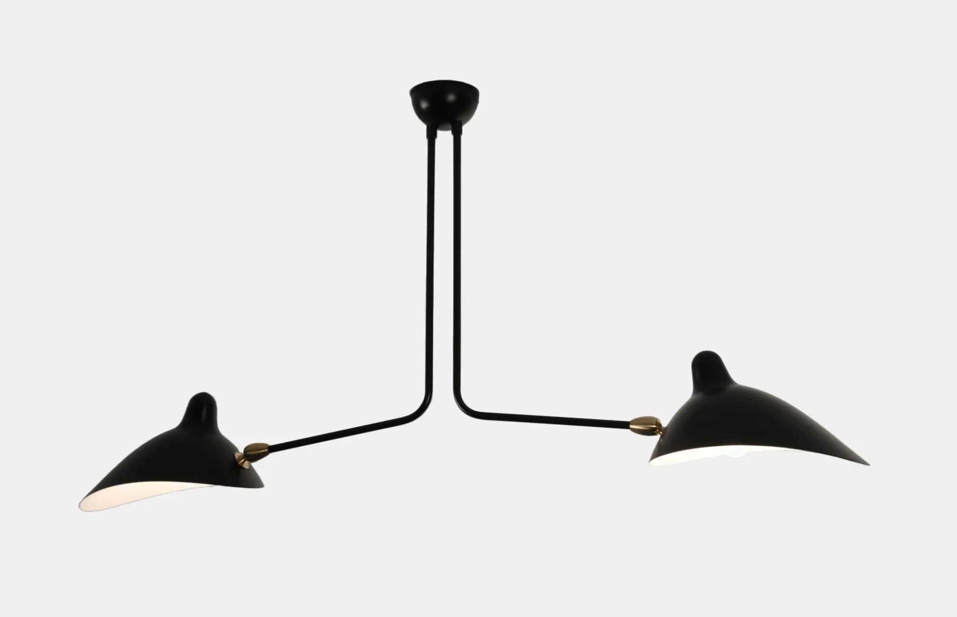 Ceiling Lamp with Two Fixed Arms
