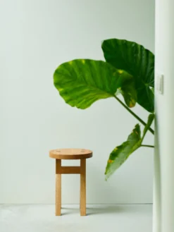 Commune Stool