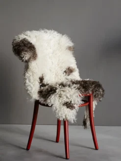Curly Sheepskin - Brown White