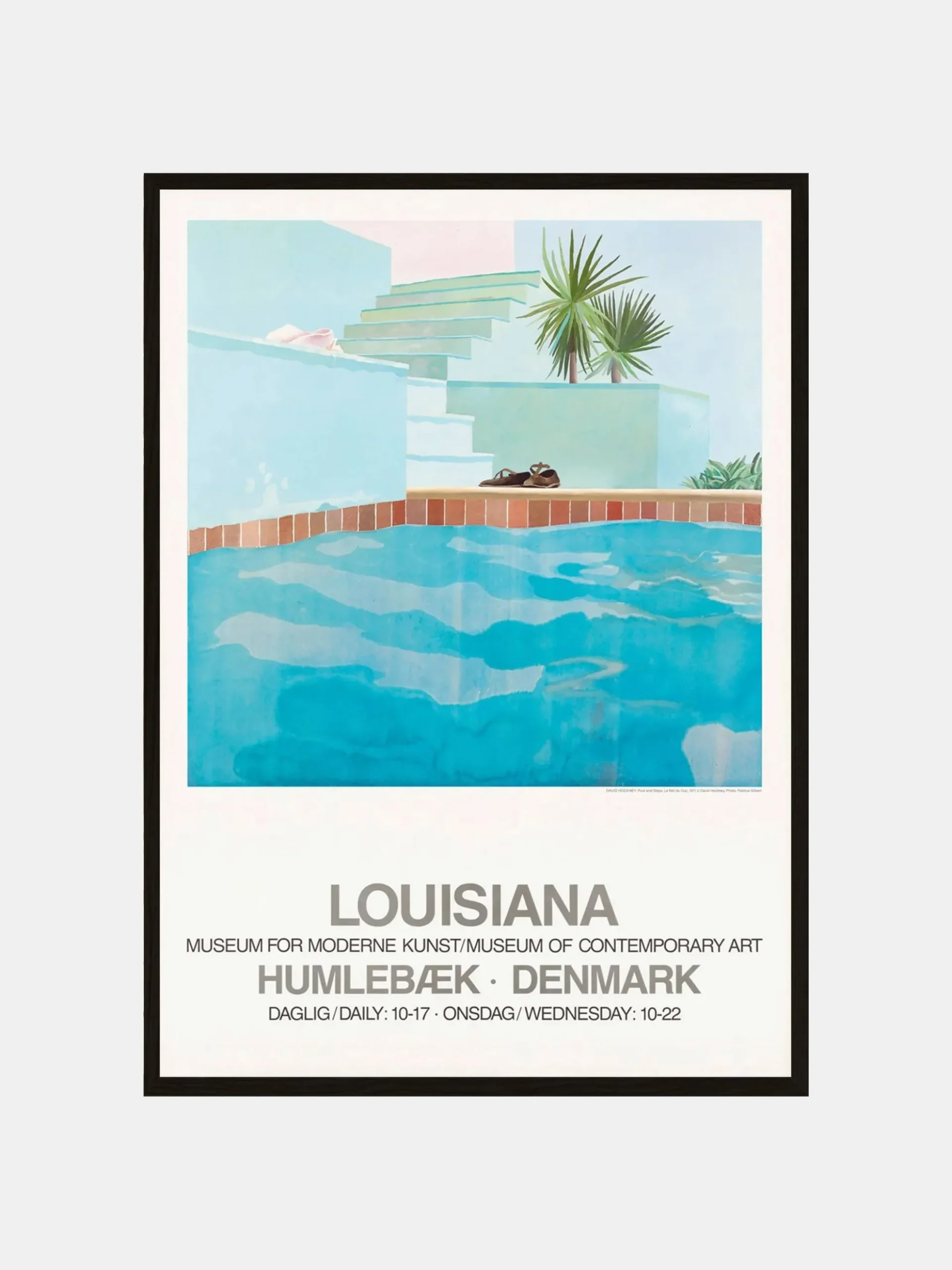 David Hockney - Pool and Steps