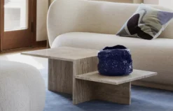 Distinct Coffee Table