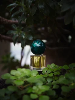 Fantome de Maules - EdP 30 ml