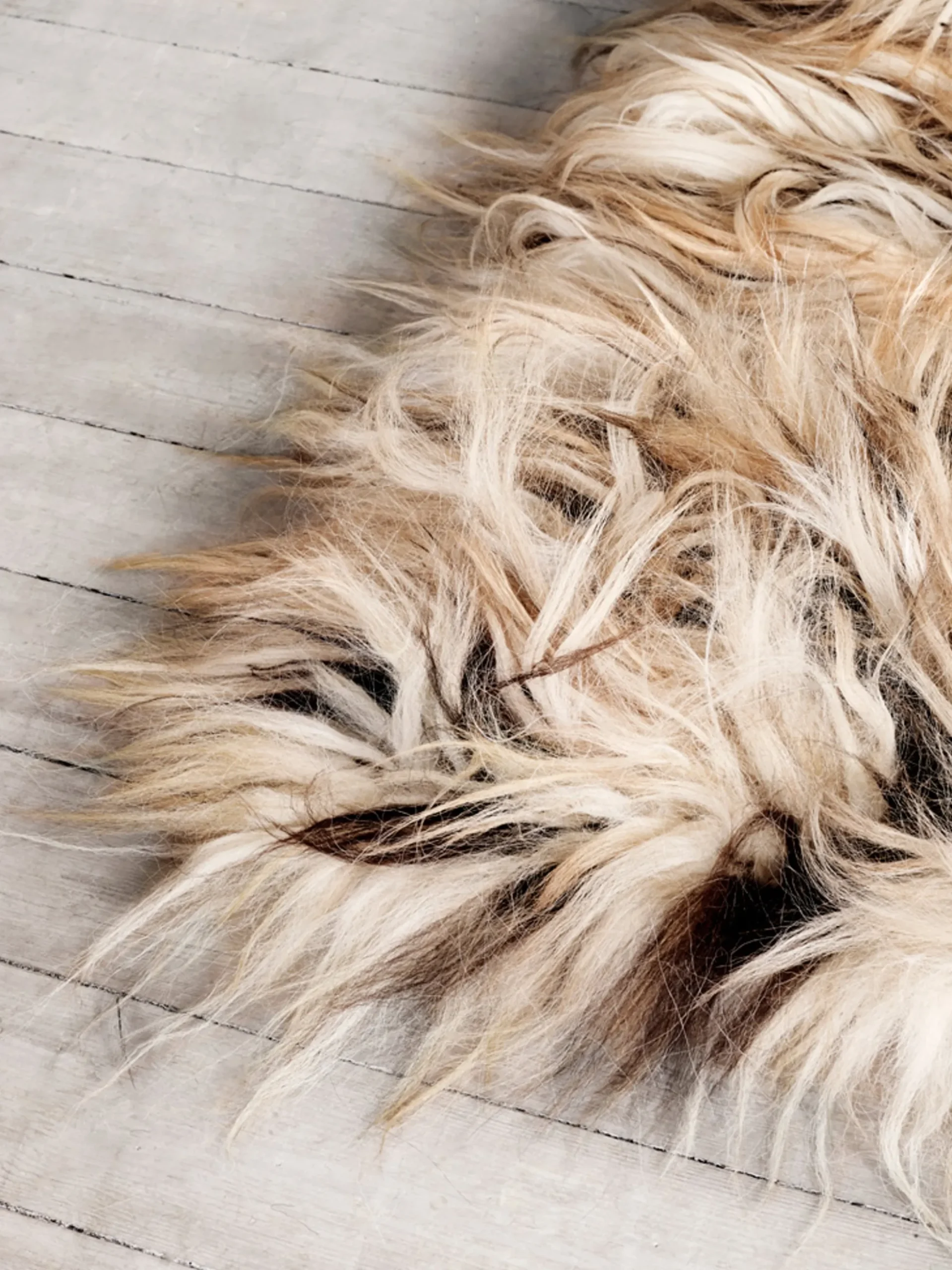Fuzzy Shepherd Rug - Romb - 200 x 300 cm