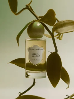 Green Vanille - EdP 75 ml