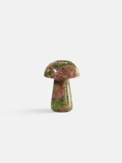 Gua Shroom - Unakite