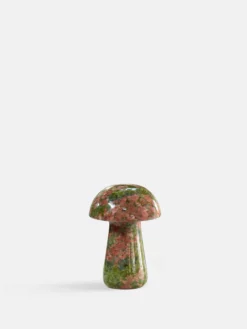Gua Shroom - Unakite