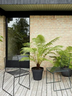 Hee Dining Chair