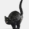 Hissing Cat Gato