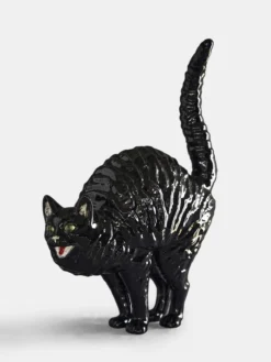 Hissing Cat Gato