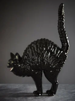Hissing Cat Gato