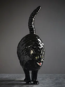 Hissing Cat Gato