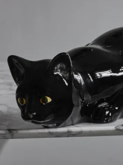 Hunting Cat