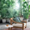 Jeko 05 Armchair - Aspen 03