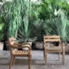 Jeko 24 Dining Armchair