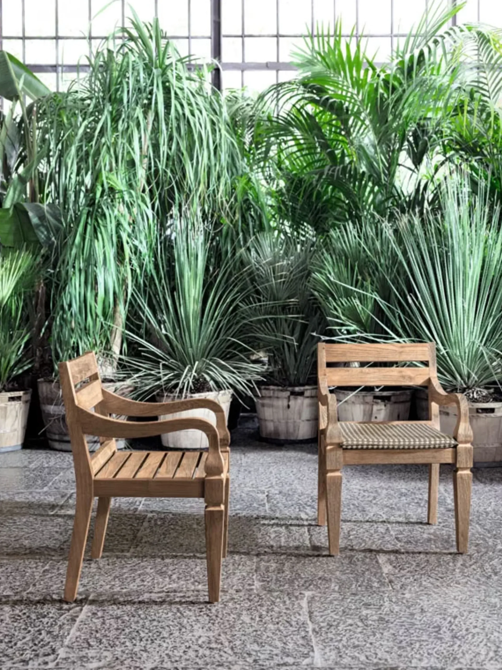 Jeko 24 Dining Armchair