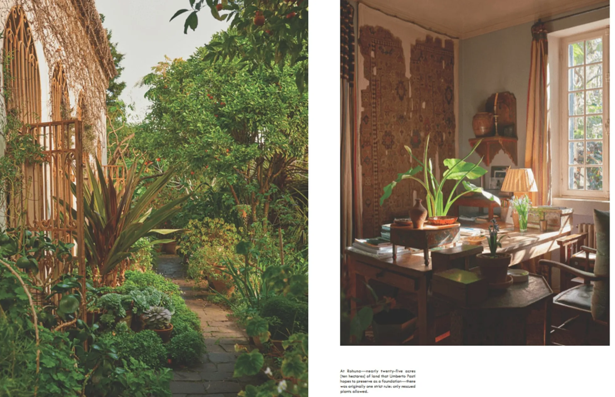 Kinfolk Garden