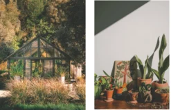 Kinfolk Garden