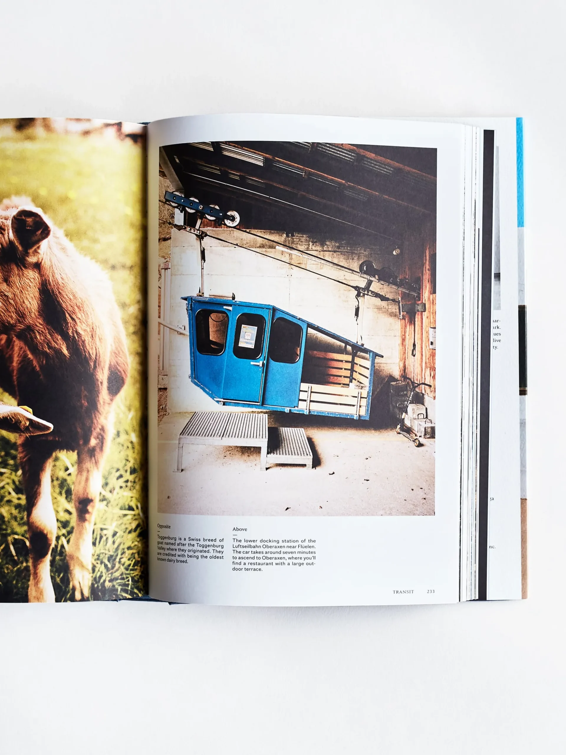 Kinfolk Travel