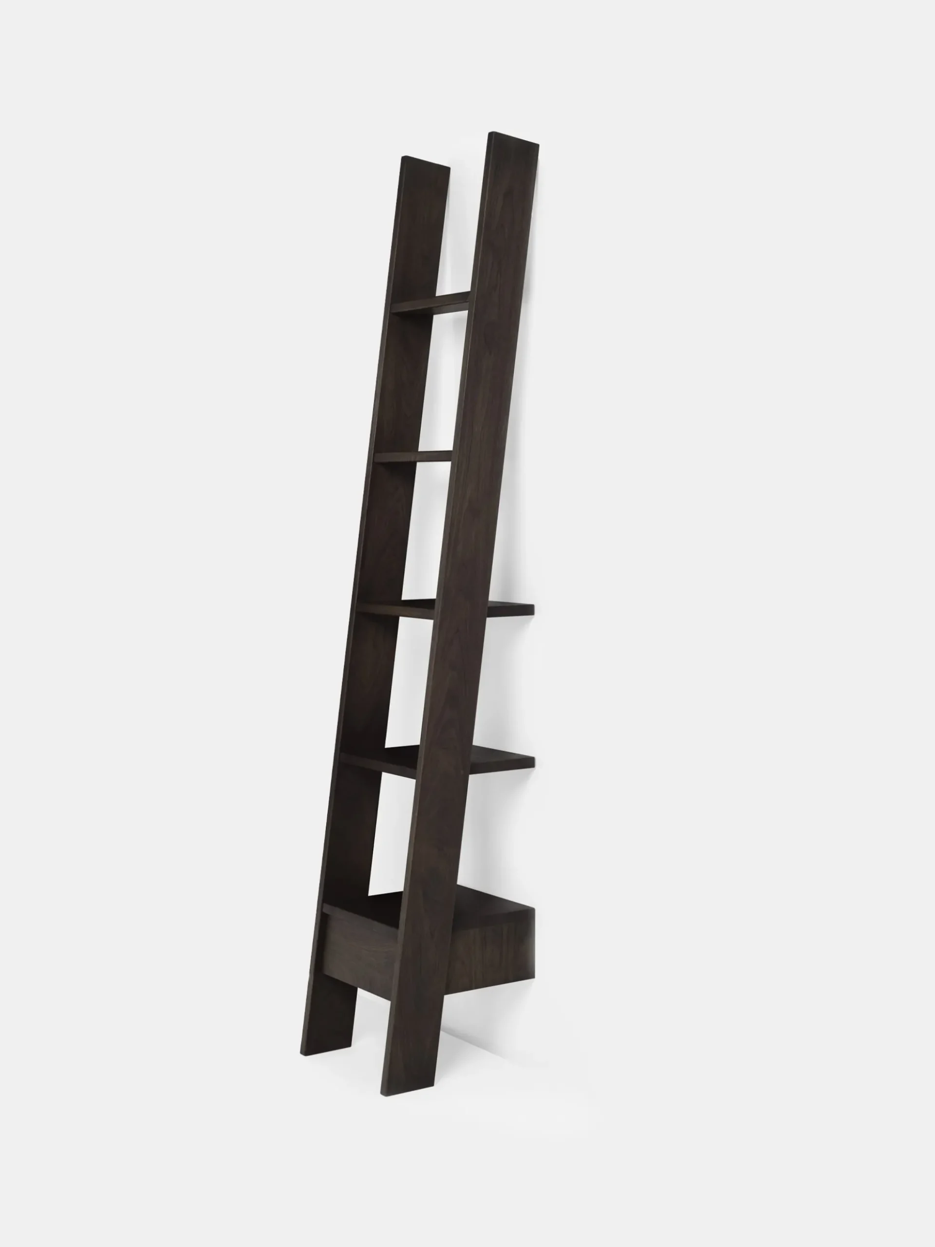 Ladder Bookcase