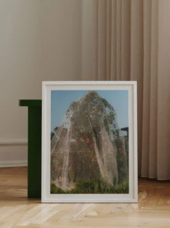 Lee Burnett - Apple Tree