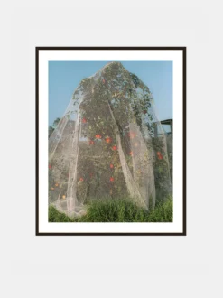 Lee Burnett - Apple Tree