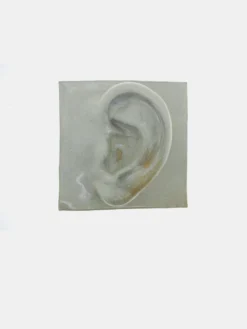 Left Ear - White
