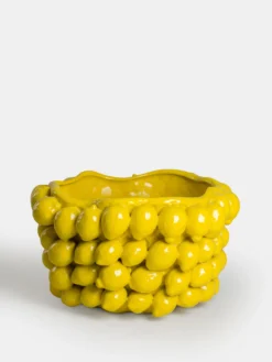 Lemon Pot